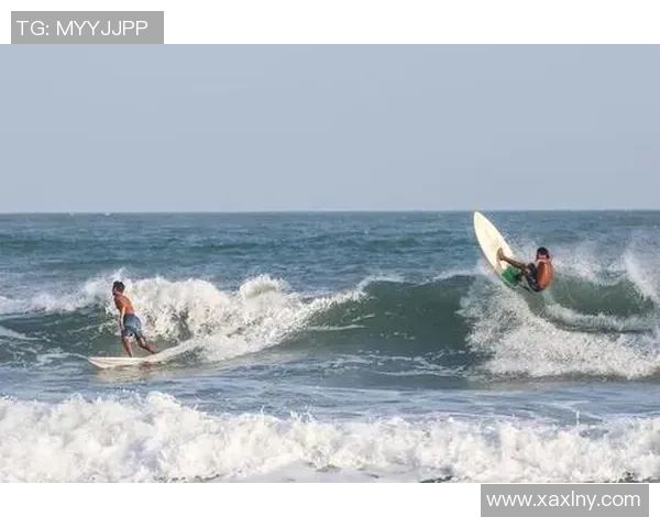 杭州滑板队在马拉松大满贯中的拼搏历程与梦想追逐